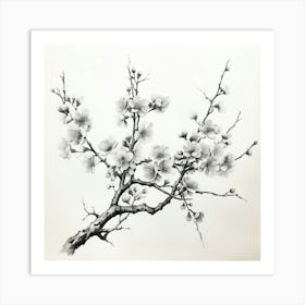 Ink Cherry Blossoms Branches 5 Art Print