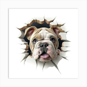 Bulldog 1 Art Print