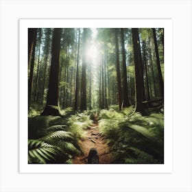 Ferns In The Forest 5 Art Print