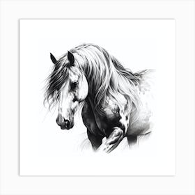 Horse Print Art Print