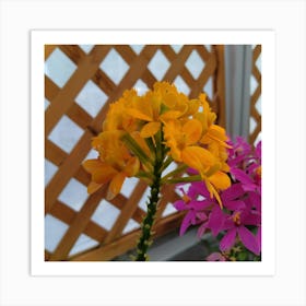 Yellow Orchids 2 Art Print