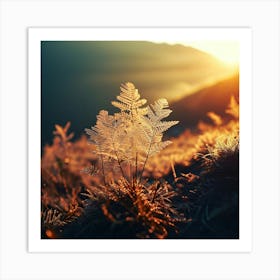 Ferns At Sunrise Art Print