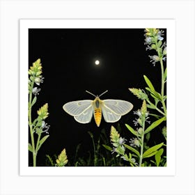 Moth At Night 1 Art Print