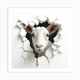 Goat Peeking Out Of A Hole Art Print