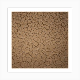 Dry Cracked Earth 1 Art Print