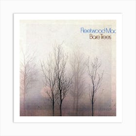 Fleetwood Mac Cover Album 5 Art Print