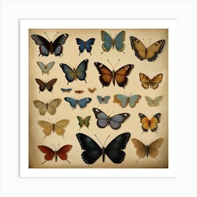 Butterfly Collection 1 Art Print