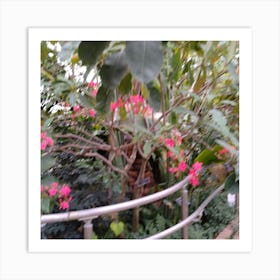 Pink Flowers In A Greenhouse 1 Art Print