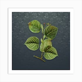 Vintage Linden Tree Botanical on Slate Gray Pattern n.1163 Art Print