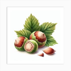 Hazelnut 1 Art Print