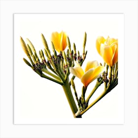 Yellow Flowers On A Stem Art Print