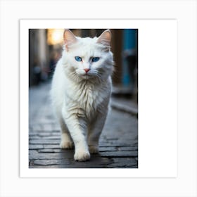 White Cat With Blue Eyes Art Print