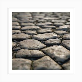 Cobblestone Road 9 Art Print