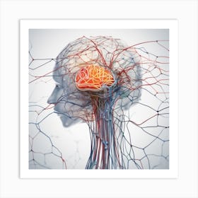 Brain And Nervous System 29 Art Print