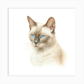 Burmese Platinum Cat Portrait 2 Art Print