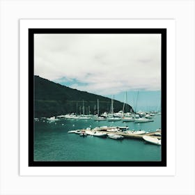 Catalina 01 Art Print