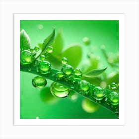 Water Droplets On A Leaf 1 Art Print