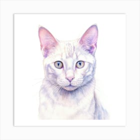 Thai Lilac Cat Portrait 3 Art Print