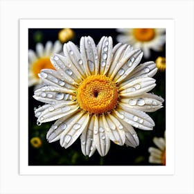 Daisy With Water Droplets 2 Art Print