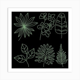 Leaf Set Vector Illustration Art Print