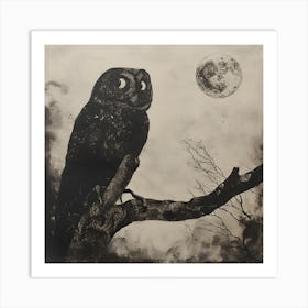 Owl In The Moonlight Art Print