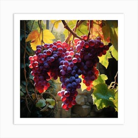 Grapes On The Vine Art Print