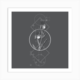 Vintage Elder Scented Iris Botanical with Line Motif and Dot Pattern in Ghost Gray n.0194 Art Print