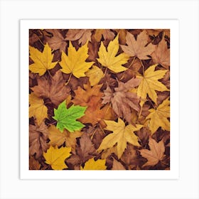 Autumn Leaves Background Photo Art Print