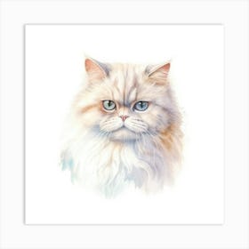 Colorpoint Shorthair Persian Cat Portrait 1 Art Print