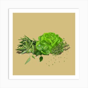 Herbs And Green Salads Art Print