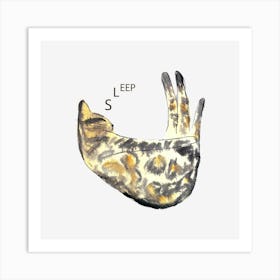 Sleep Art Print