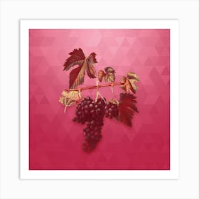 Vintage Lacrima Grapes Botanical in Gold on Viva Magenta n.0145 Art Print