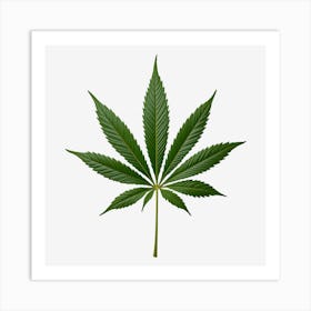 Marijuana Leaf On Black Background 1 Art Print