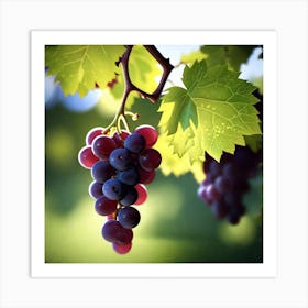 Grapes On The Vine 37 Art Print