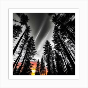 Sunset In The Forest 5 Art Print