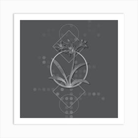 Vintage Amaryllis Botanical with Line Motif and Dot Pattern in Ghost Gray n.0399 Art Print