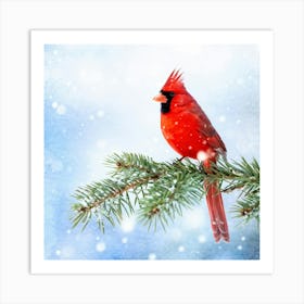 Cardinal Perched On A Frosted Pine Branch Snowflakes Gently Descending Soft Focus Background Of A Art Print