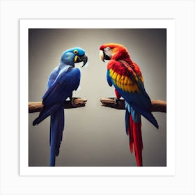 Parrots 4 Art Print