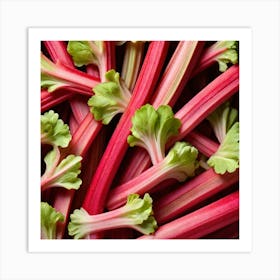 Rhubarb 15 Art Print