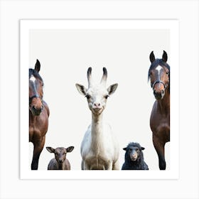 Group Of Horses And Goats 5 Art Print