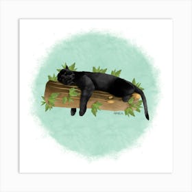 Black panther /Panthère noire Art Print