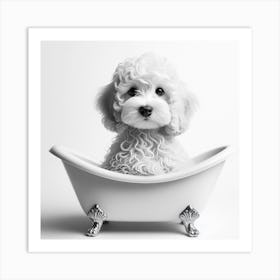 Poodle In Bathtub Art Print