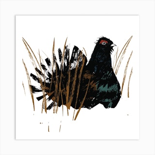 Capercaillie Square Art Print