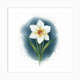 Daffodil Art Print