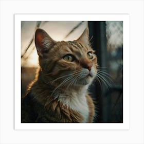 Default Cat Freddie Art 0 Art Print