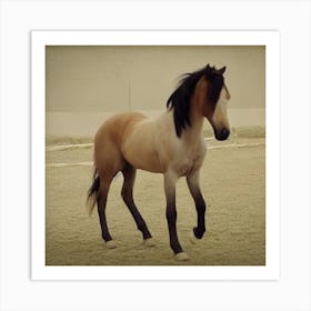 Beautiful Horse Art Print