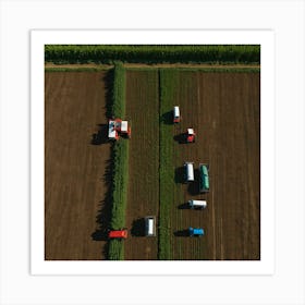 Aerial View Of A Corn Field 2 Art Print