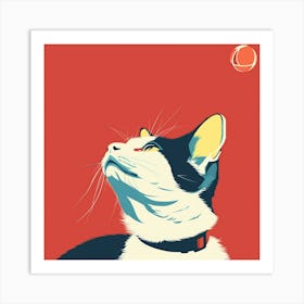 Cat In The Sky Art Print