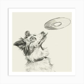 Dog Catching Frisbee Art Print