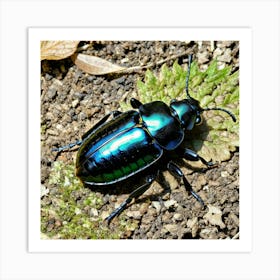 Beetle Insect Bug Coleoptera Exoskeleton Antennae Wings Black Colorful Small Crawling Car (2) Art Print